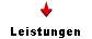  Leistungen 